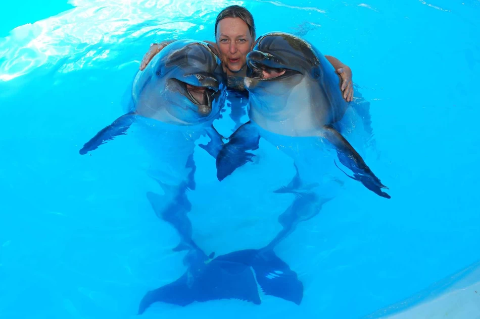 Swim with the Dolphine