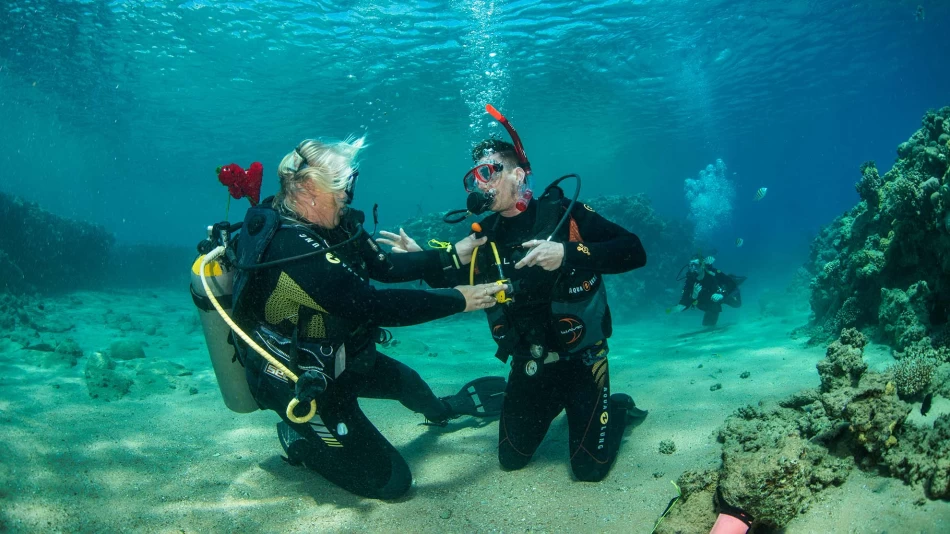 Diving in sharm el sheikh