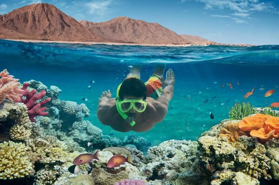 Snorkeling in sharm el sheikh