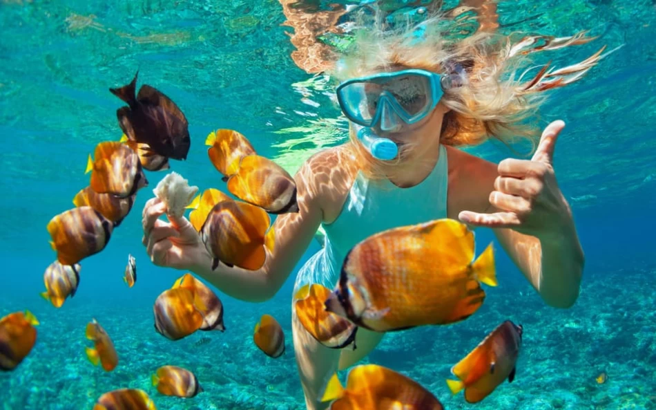 Swim with the fishes