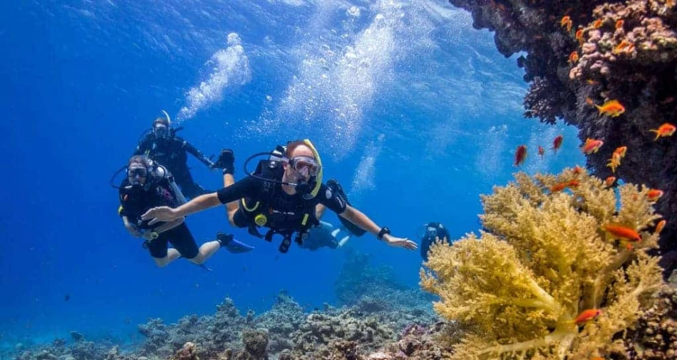 Diving in Red Sea