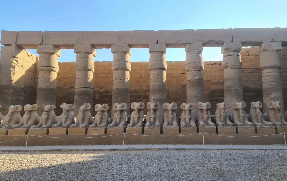 See Luxor and Aswan attractions with Nile cruise